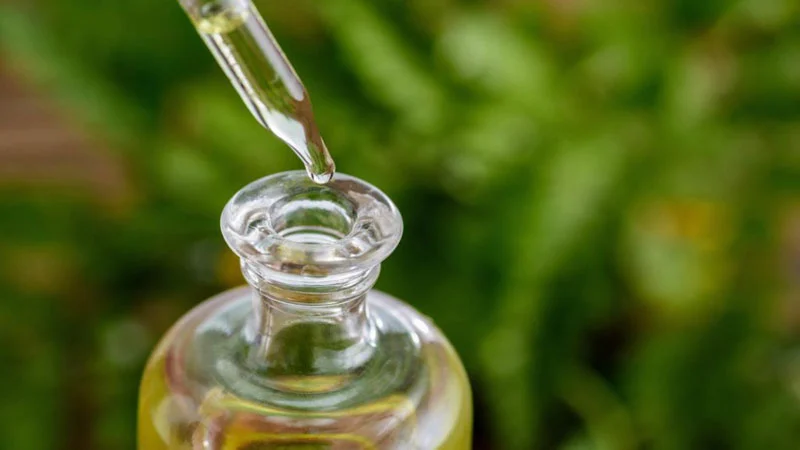 Benefits Of Diffusing Essential Oils – Terry’s Natural Market